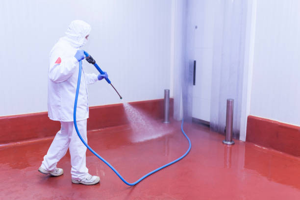 Best Window and Screen Pressure Cleaning in Hernando Beach, FL