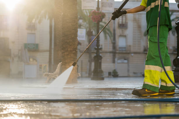 Best Soft Washing for Delicate Surfaces in Hernando Beach, FL